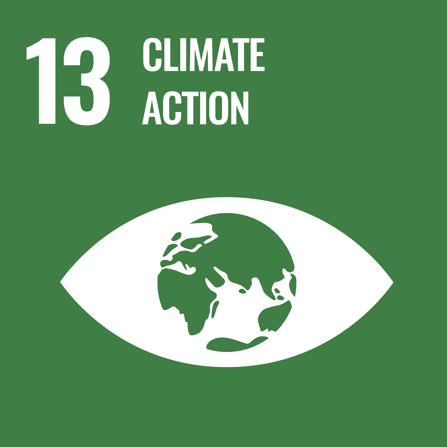 SDG13 icon